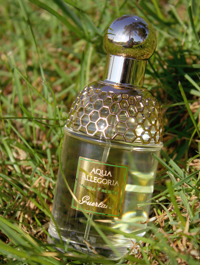 Guerlain Aqua Allegoria Herba Fresca