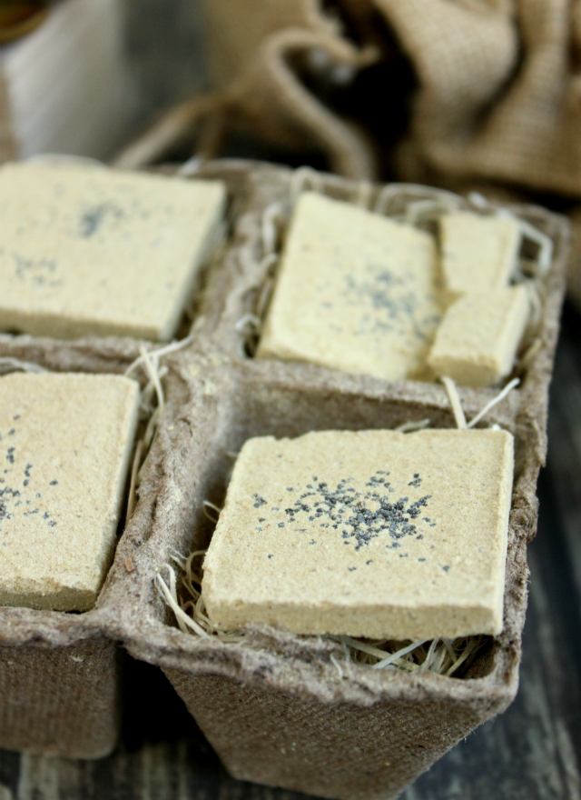 Check out FarmHouse Fresh body treats! With quirky scents like "Brandy Pear" and "Watermelon Vodkatini", these 97-100% natural products are a delight for the skin and for the senses. They make great gifts too! >> https://glamorable.com | via @glamorable