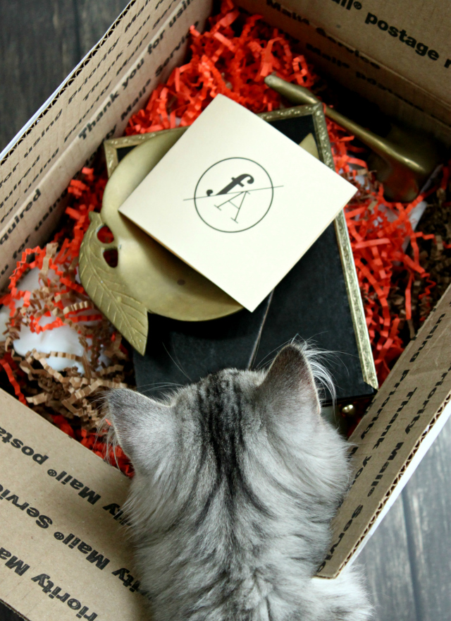 Frankie & Albert Review: Subscription Box for Vintage Fans. Click through for more pictures! >> www.glamorable.com | via @glamorable