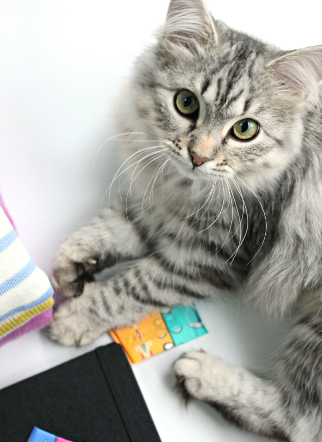 Today on the blog I'm sharing my top 5 Ways To Feel Good Right Now (that don't involve spending money) #BringComfyBack #sp. Read more at >> www.glamorable.com | via @glamorable