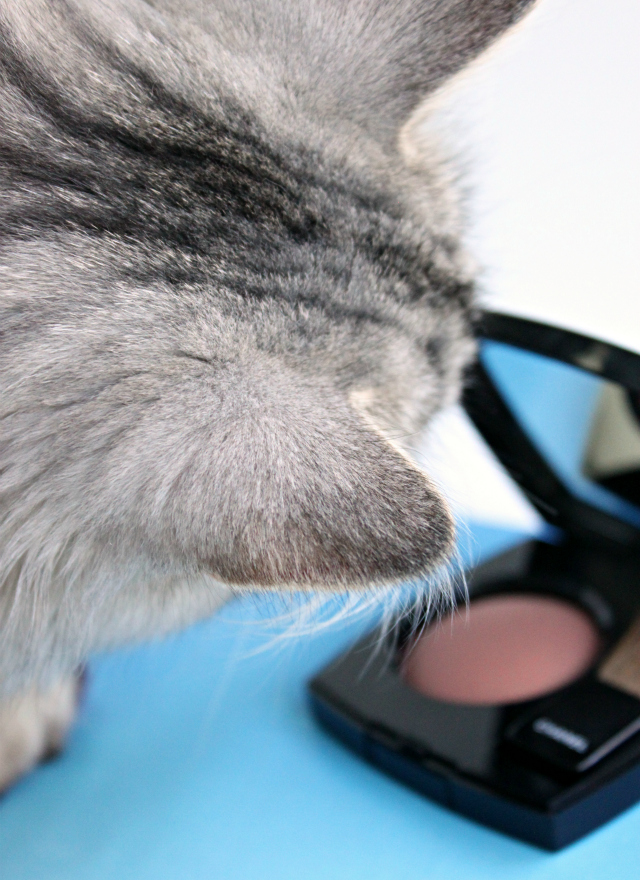 Best blush color for Fall - Chanel Joues Contraste Alezane (swatches, review, pictures) Read more at >> www.glamorable.com | via @glamorable