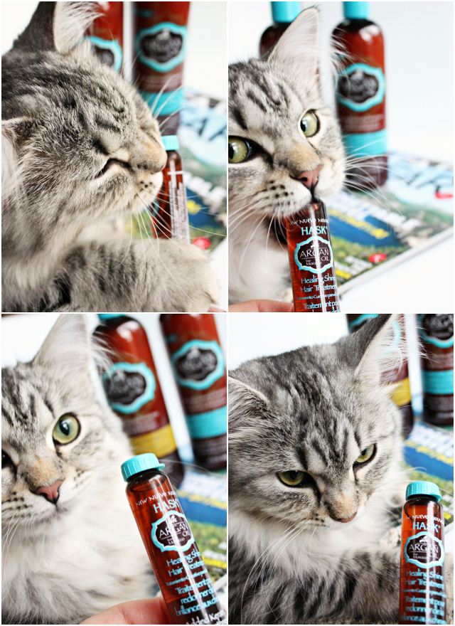 Luna's Corner #1 (don't steal my photos!) Read more at >> www.glamorable.com | via @glamorable