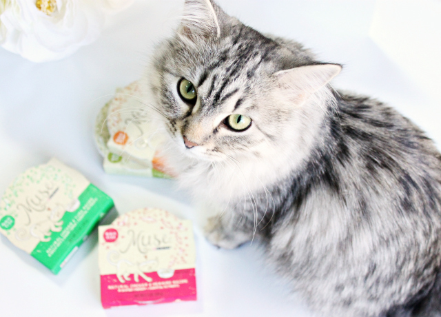 Luna's Musings on Purina Muse Natural Grain Free Cat Food. Read more at >> www.glamorable.com | via @glamorable #MyCatMyMuse [ad] #cbias