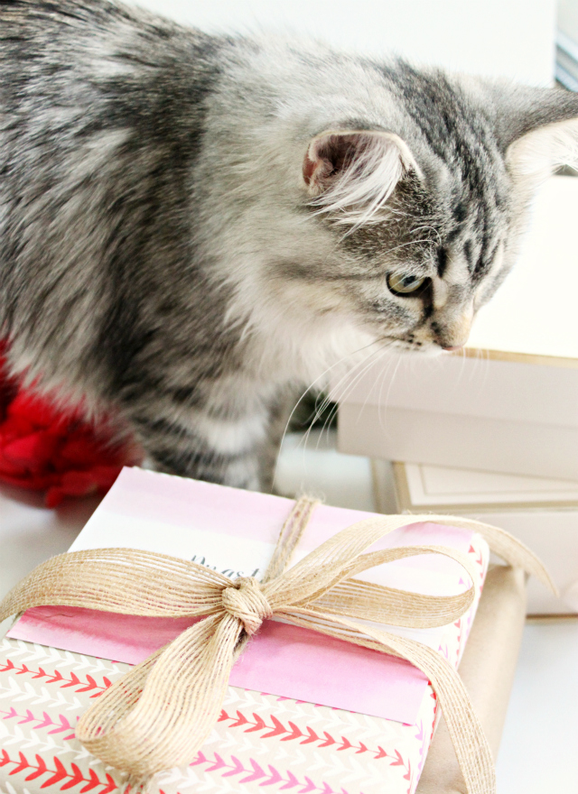 Luna's Corner #2. Read more at >> www.glamorable.com | via @glamorable