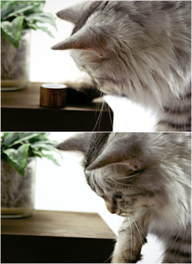 Luna's Corner #2. Read more at >> www.glamorable.com | via @glamorable