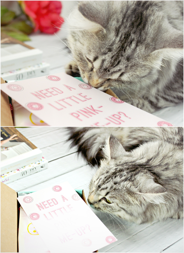 Luna's Corner #2. Read more at >> www.glamorable.com | via @glamorable