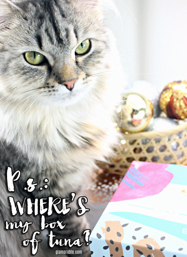 Holiday Gift Guide: Subscription Boxes || Check out the best subscription boxes to give as a gift or to add to your personal wishlist! Read more at >> www.glamorable.com | via @glamorable