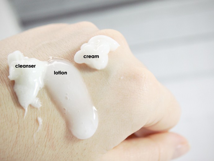 Amarte Skincare Review