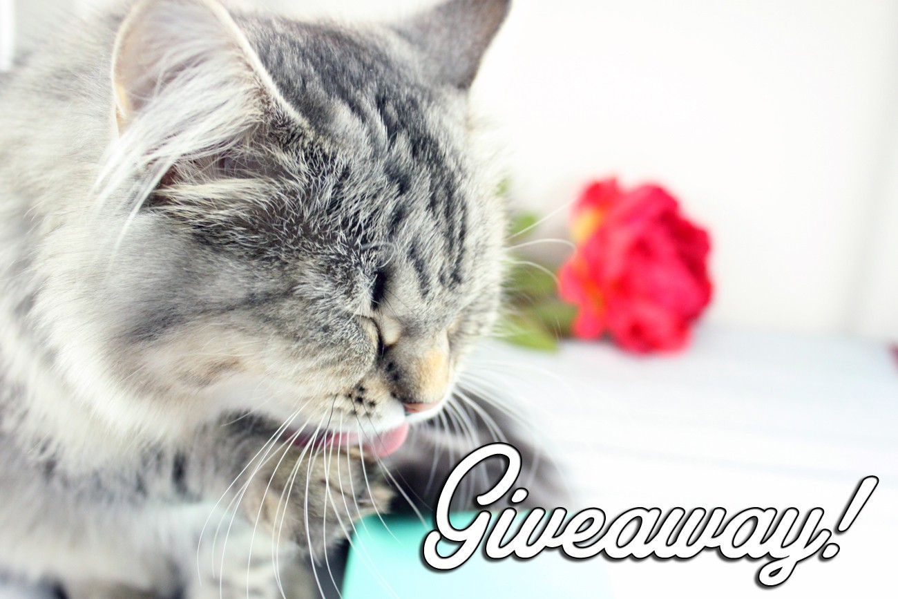 Giveaway: Win $300 Sephora or Target Gift Card, 2 Winners (International)