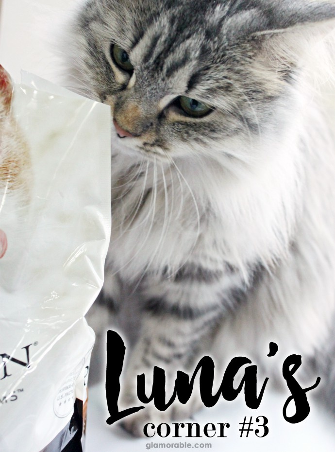 Luna's Corner: Purina Pro Plan Shredded Blend for Cats