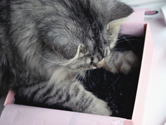 Glossybox May 2016 Unboxing & Review