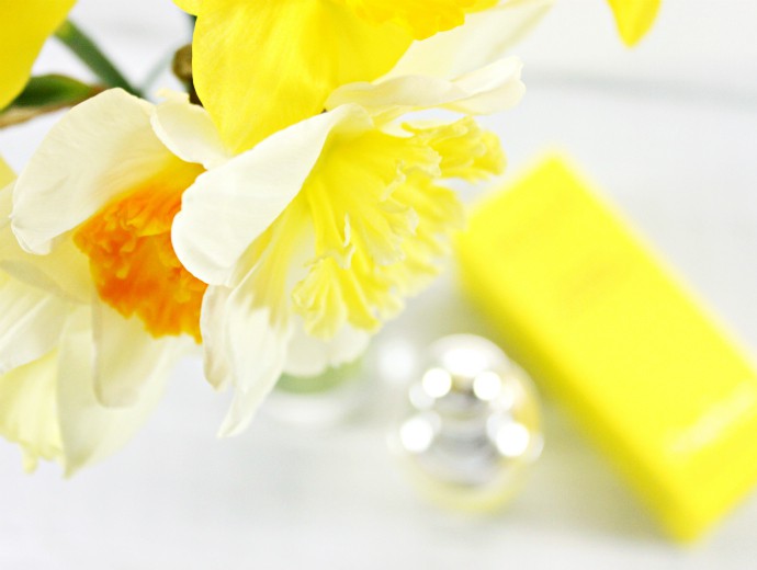 MDSUN Wrinkle Smoothener | Anti-aging Skincare That Works