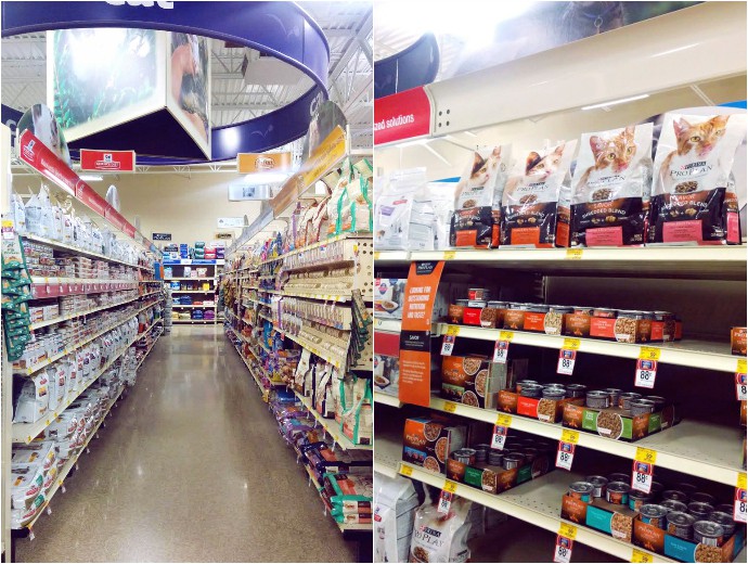 Luna's Corner #4 - How to Tell Your Cat Loves You