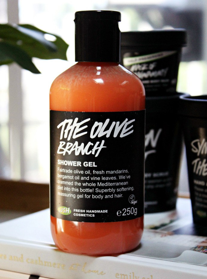 Latest LUSH Haul & Why You Should Shop at LUSH UK