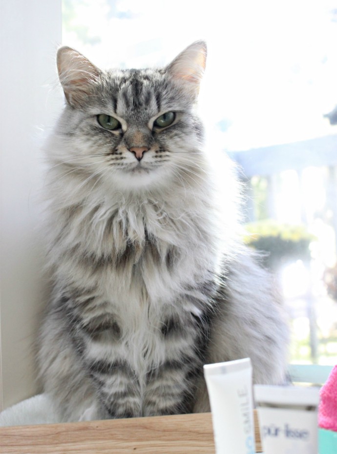 Beauty Box 5 September 2016 Review