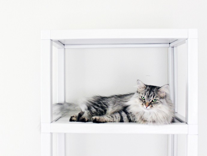 Way Basics Kensington: Trendy and Affordable White Storage Unit for Makeup, Skincare, Magazines, and Brushes