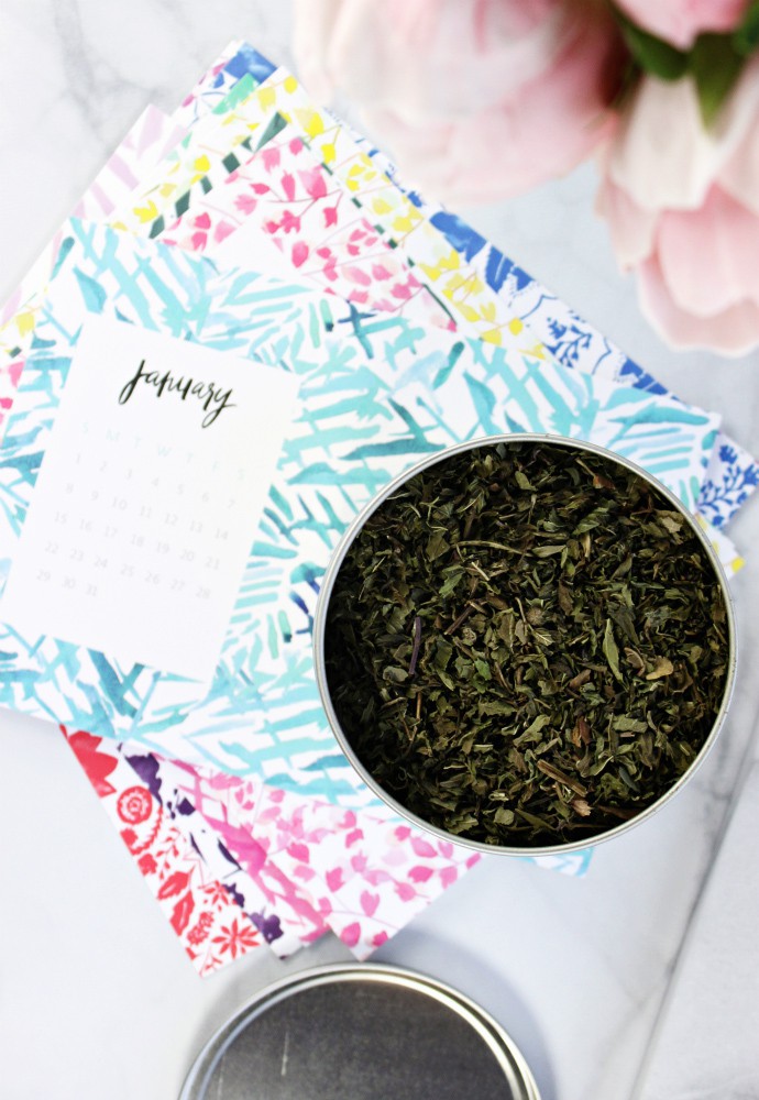 POPSUGAR MustHave January 2017 Review