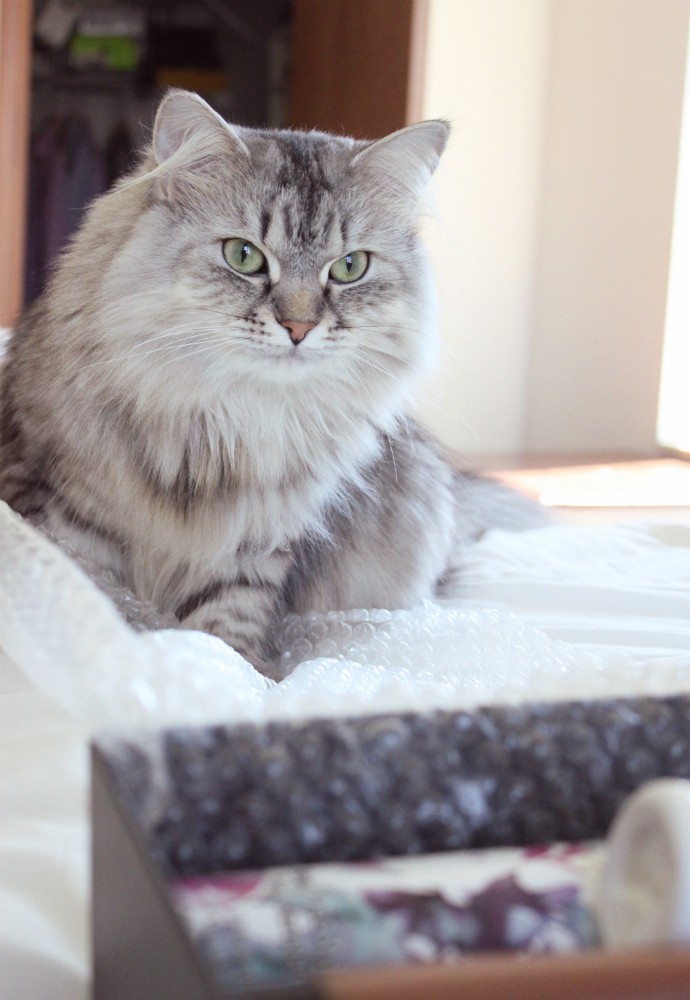 PR beauty blogger haul #1