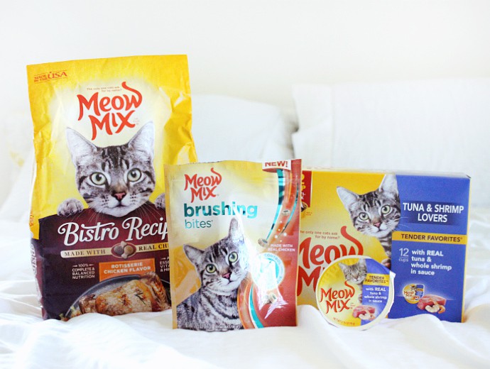 How to bond with your cat ft. Meow Mix cat food and treats