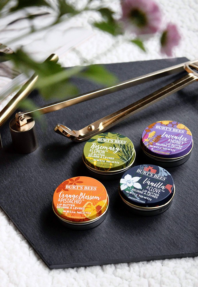 Burt’s Bees Lip Butter