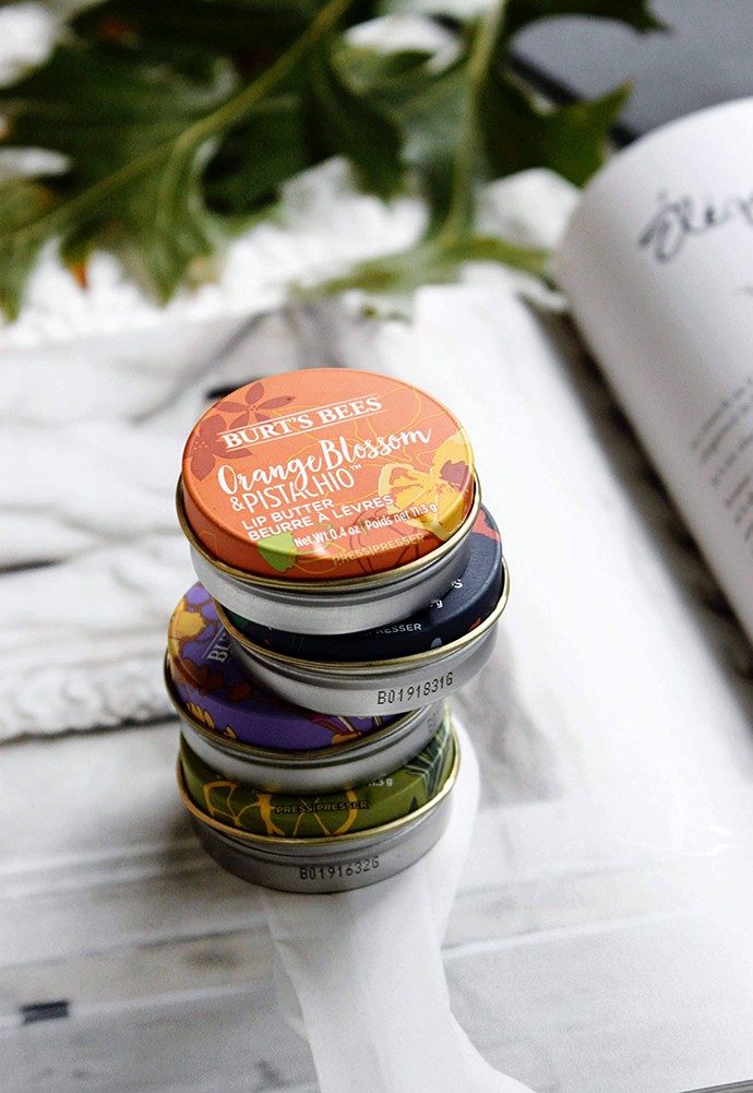 Burt’s Bees Lip Butter